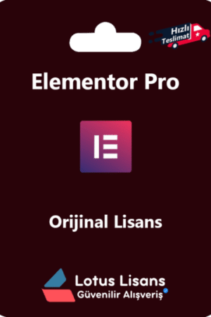 Elementor Pro | Orijinal WordPress Eklentisi