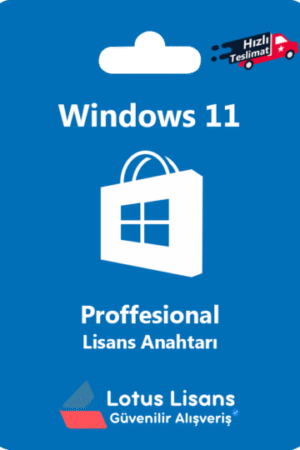 Windows 11 Pro | Orijinal Lisans